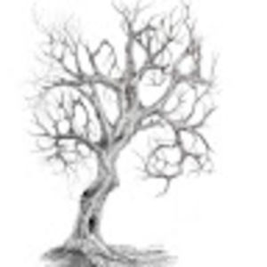 Meet your Posher, Li